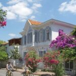 Istanbul: Princes' Islands Cruise with Lunch & Guide - The Real Deal: Pros and Cons