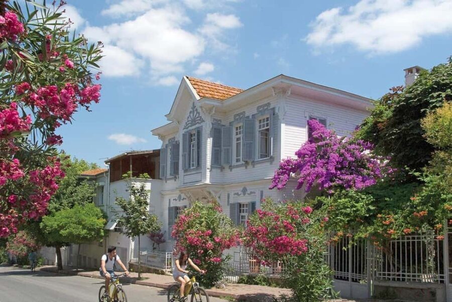 Istanbul: Princes' Islands Cruise with Lunch & Guide - The Real Deal: Pros and Cons