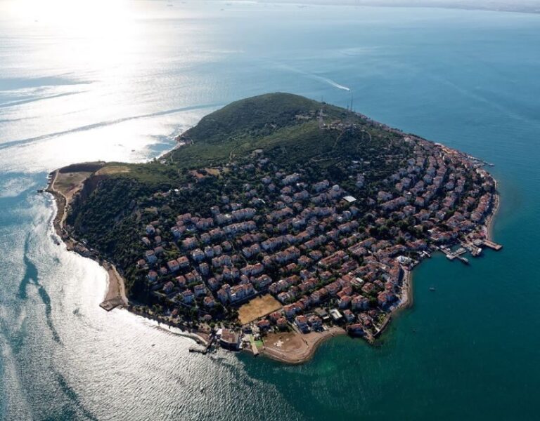 Istanbul: Princes' Islands Tour with Lunch and Transfers - What Reviewers Say