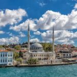 Istanbul Private Transfer from City Hotels to Cruise port - Punctuality and Service Quality