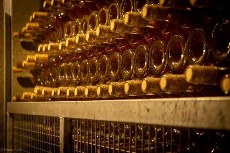 Istanbul: Private Wine Tasting Day Trip to Tekirdag - What to Expect at Each Stop