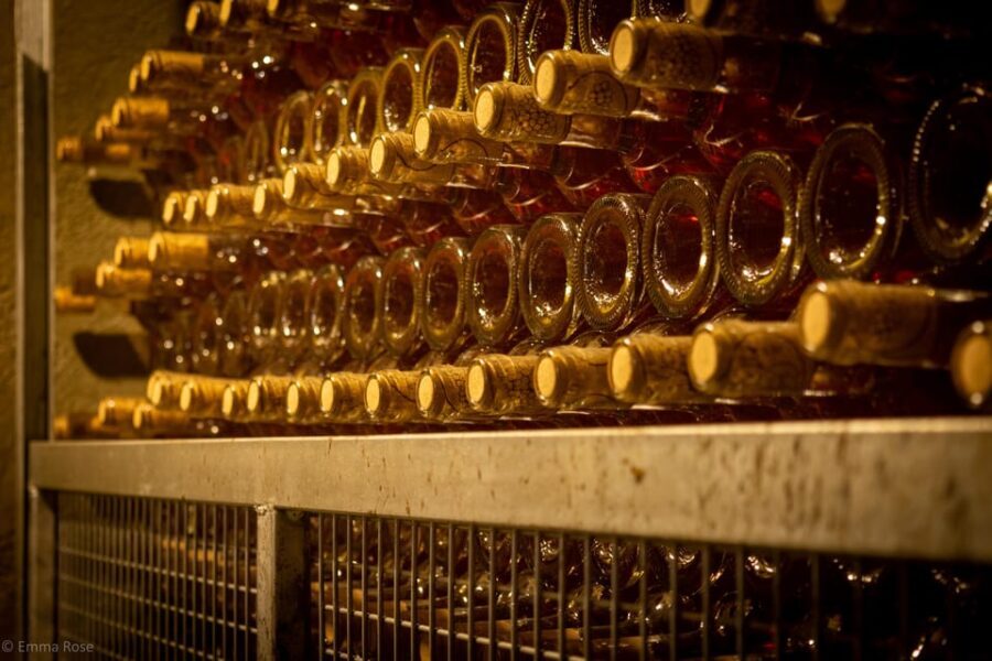 Istanbul: Private Wine Tasting Day Trip to Tekirdag - What to Expect at Each Stop