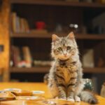 Istanbul: Turkish Mosaic Lamp Workshop with Drinks & Snacks - The Crafting Experience: What You’ll Make