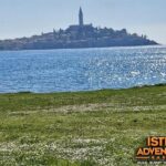 Istra Buggy Family Safari - The Guides and Safety