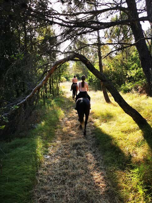 Istria: Guided Horseback Riding Tour - Detailed Breakdown of the Itinerary