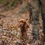 Istria: Truffle Hunting, Tasting, and Heritage Private Tour - Practical Details and Tips