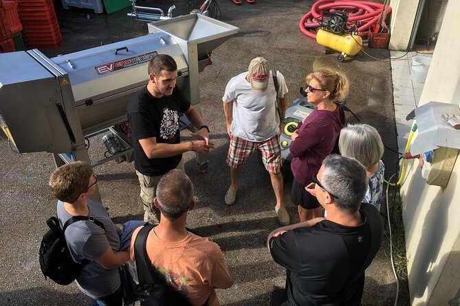 Istrian tapestry - gourmet tour combining wine, truffles and olive oil - Final Thoughts