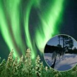 Ivalo: Aurora Hunting with Huskies - The Itinerary — What to Expect