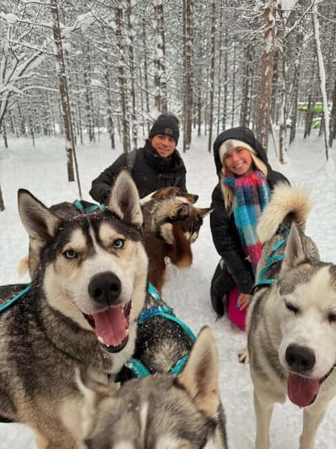 Ivalo: Husky Farm Kennel Visit at Happy Huskies - Who Is This Tour Best For?