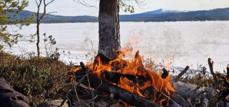 Ivalo: Private Sleighride Tour and Fishing in the Wild - The Itinerary Breakdown