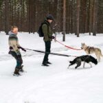 Ivalo - Saariselkä: Husky Walk in the Wilderness - The Itinerary: What to Expect from Start to Finish