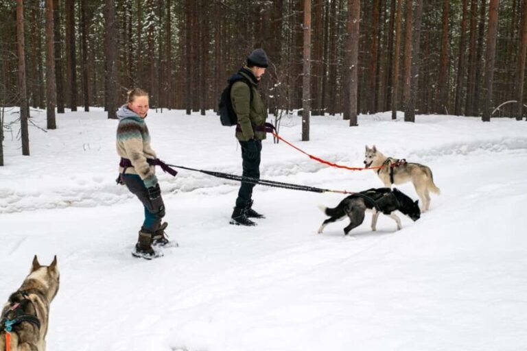 Ivalo - Saariselkä: Husky Walk in the Wilderness - The Itinerary: What to Expect from Start to Finish