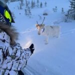 Ivalo: Snowmobile Safari in Hammastunturi Wilderness - Who is This Tour Best For?