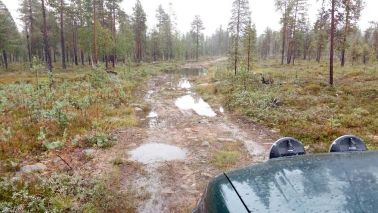 Ivalo: Wilderness Tour with Campfire Lunch - The Cultural Heritage Homestead