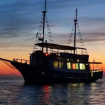 Izlet brodom iz Vrsara: Zalazak sunca i druenje s delfinima - Who is this tour perfect for?