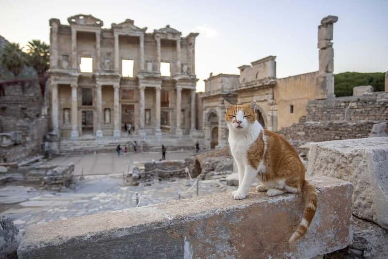 Izmir: Ephesus, Virgin Mary House & Artemis Temple Tour - What Makes This Tour Stand Out