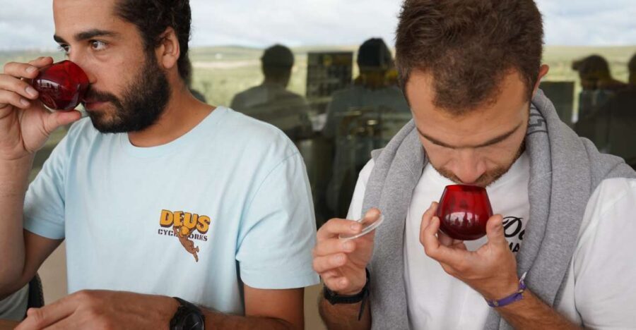 Jaén: Aires de Jaén Olive Oil Tasting Class - What the Reviews Say