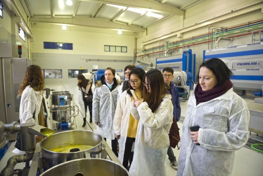 Jaén Discover the Secrets of Olive Oil: Tour & Tasting - The Itinerary: What You Can Expect