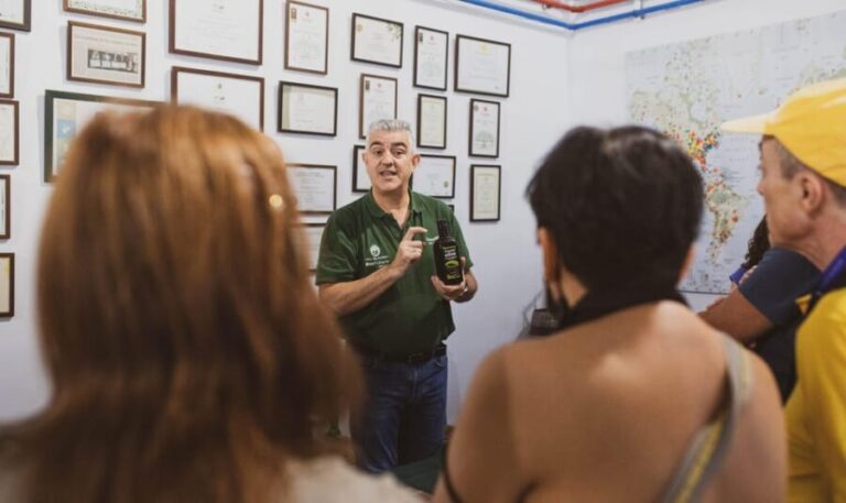 Jaén: Guided Olive Mill Tour with Olive Oil Tasting - Who Would Love This Tour?
