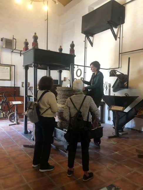 Jaén: Olive Oil Museum Tour with Tasting Private groups - Things to Keep in Mind