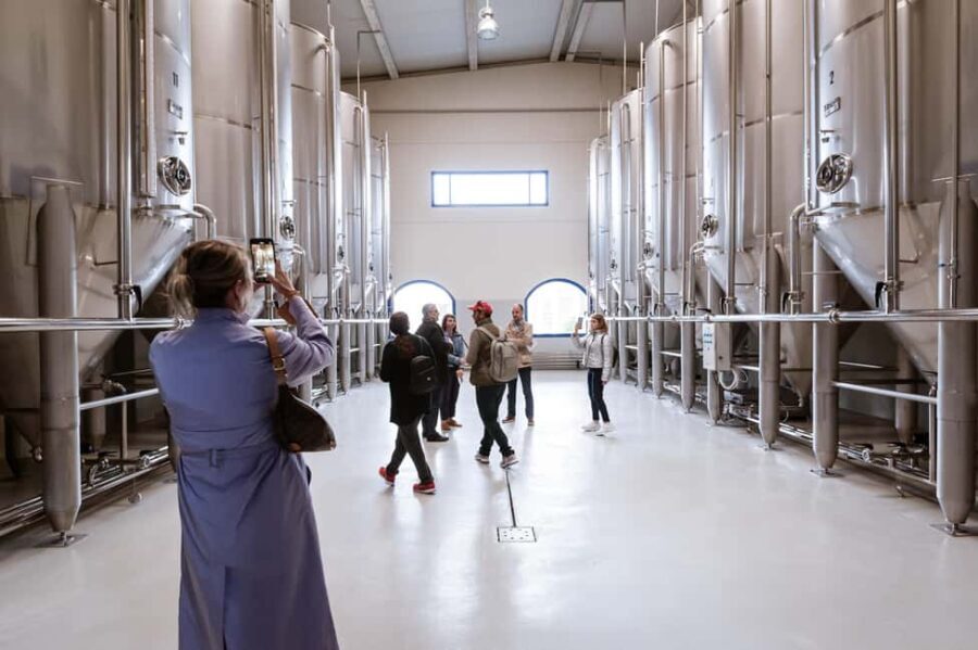 Jaén: Unforgettable visit to the olive mill + EVOO tasting - Who Would Love This Tour?