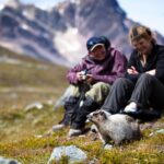 Jasper to Banff One-Way Tour - What’s Included and How That Adds Value