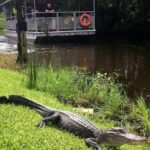 Jean Lafitte 90-Minute Swamp and Bayou Boat Tour - When and How to Book