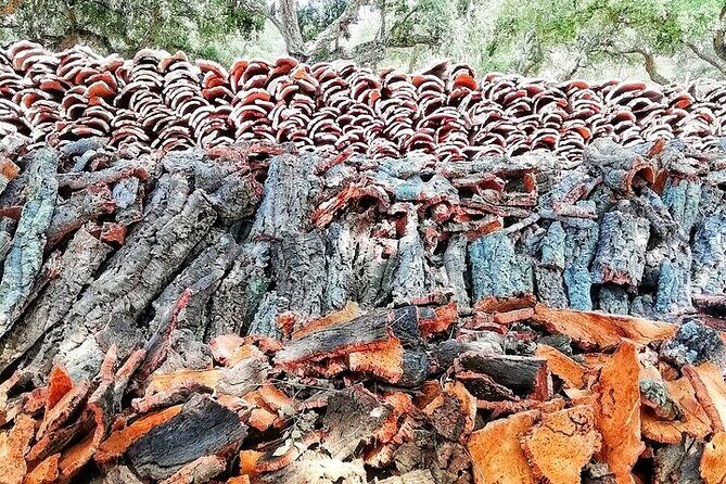 Jeep Cork Tour Experience Pack - The Real Value: Price, Duration, and Overall Impression