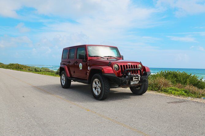 Jeep Exploration & All Inclusive Tortugas Beach Break (Private) - Who Would Love This Tour?