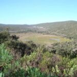 Jeep Safari & Benagil Boat Tour - The Value of This Experience