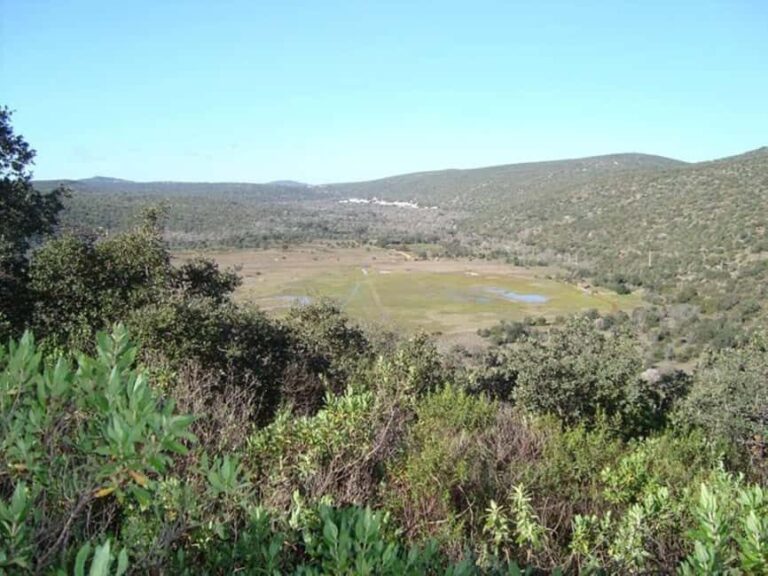 Jeep Safari & Benagil Boat Tour - The Value of This Experience