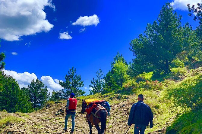 Jeep Safari Berat Hiking and picnic lunch in Tomori Holy Mount - Who Is This Tour Best Suited For?