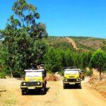 Jeep Safari From Sarigerme - What to Expect from the Jeep Safari Experience