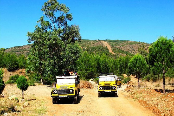 Jeep Safari From Sarigerme - What to Expect from the Jeep Safari Experience