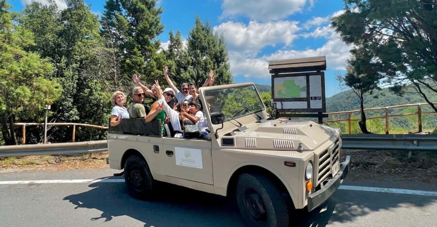 Jeep safari in the Aspromonte National Park - Authenticity & Insight from Travelers