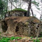 Jeep Safari to National Park From Kusadasi Port / Hotels - Practical Details and Considerations