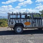 Jeep Tour through Arrábida Azeitão and Wine Tasting - Who Would Love This Tour?