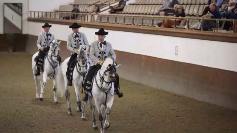 Jerez and Cadiz Private Tour from Seville - A Closer Look at the Itinerary