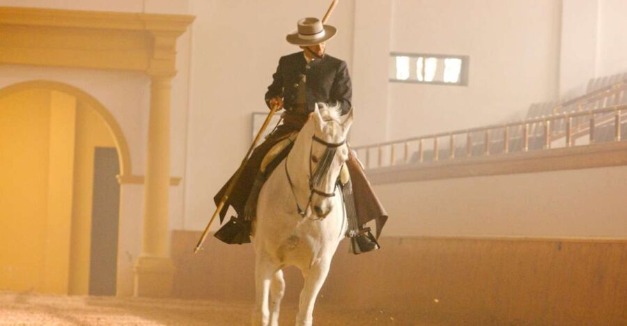 Jerez de la Frontera: How the Andalusian Horses Dance - Practical Details and Tips