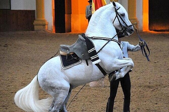 Jerez Historic Guided Tour with Horse Show - Who Should Consider This Tour?
