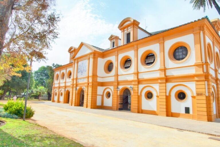 Jerez: Royal Andalusian School of Equestrian Art Admission - The Stables and Training Grounds