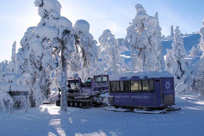 Jewels Of Lapland: Visit to Amethyst Mine in Luosto - Practical Details and What to Expect