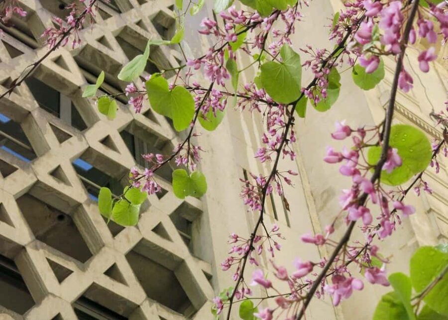 Jewish History Tour of Le Marais - The Itinerary in Detail