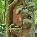 Jewish Private Historical Tour in Warsaw - What Our Reviewee Said