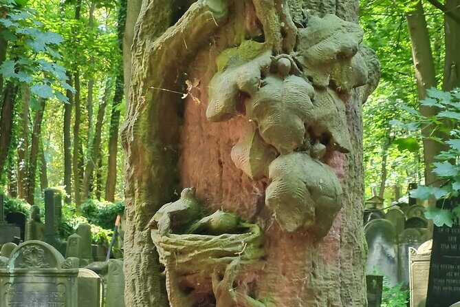 Jewish Private Historical Tour in Warsaw - What Our Reviewee Said