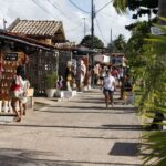 Joao Pessoa Northern Coast Beaches Day Tour - Who Would Enjoy This Tour?