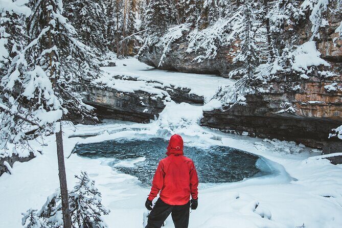 Johnston Canyon Frozen Waterfalls & Banff Backroads Wildlife Tour - The Scenic Highlights and Why They Matter