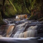 Join the Dark Side of Magical Nature - What to Expect from the Tour