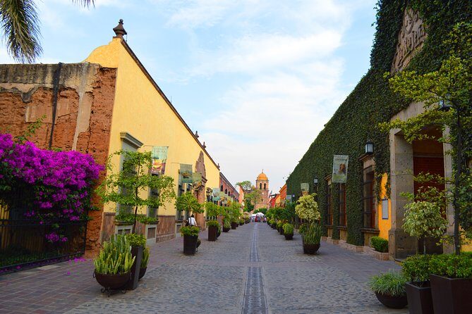 José Cuervo Tequila Day Experience from Guadalajara - The Highlights of the Experience