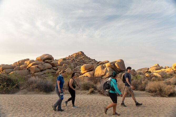 Joshua Tree Full Day Private Tour and Hike - The Overall Experience: Pros and Cons